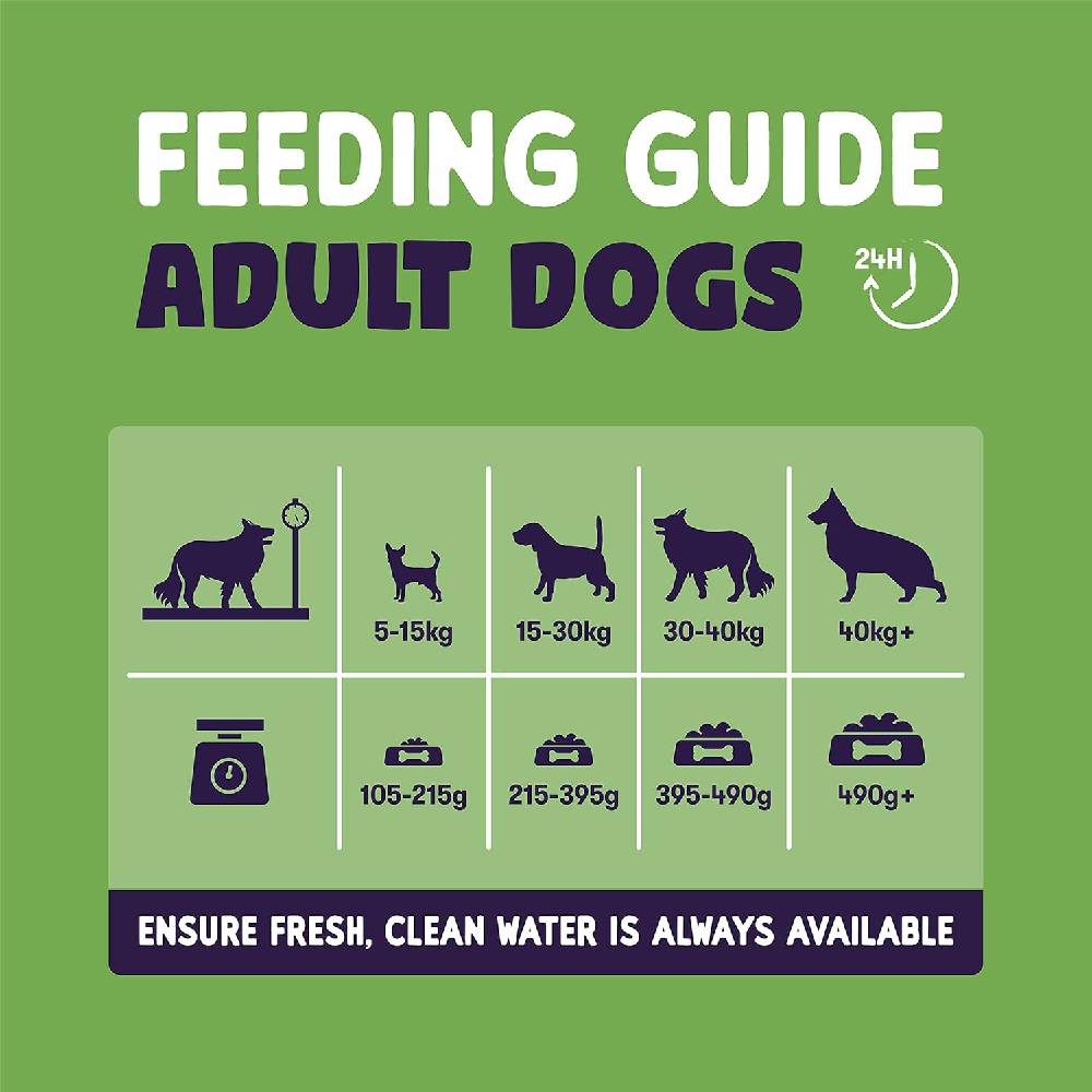 Burgess - Sensitive Adult Lamb Dry Dog Food-2 Kg