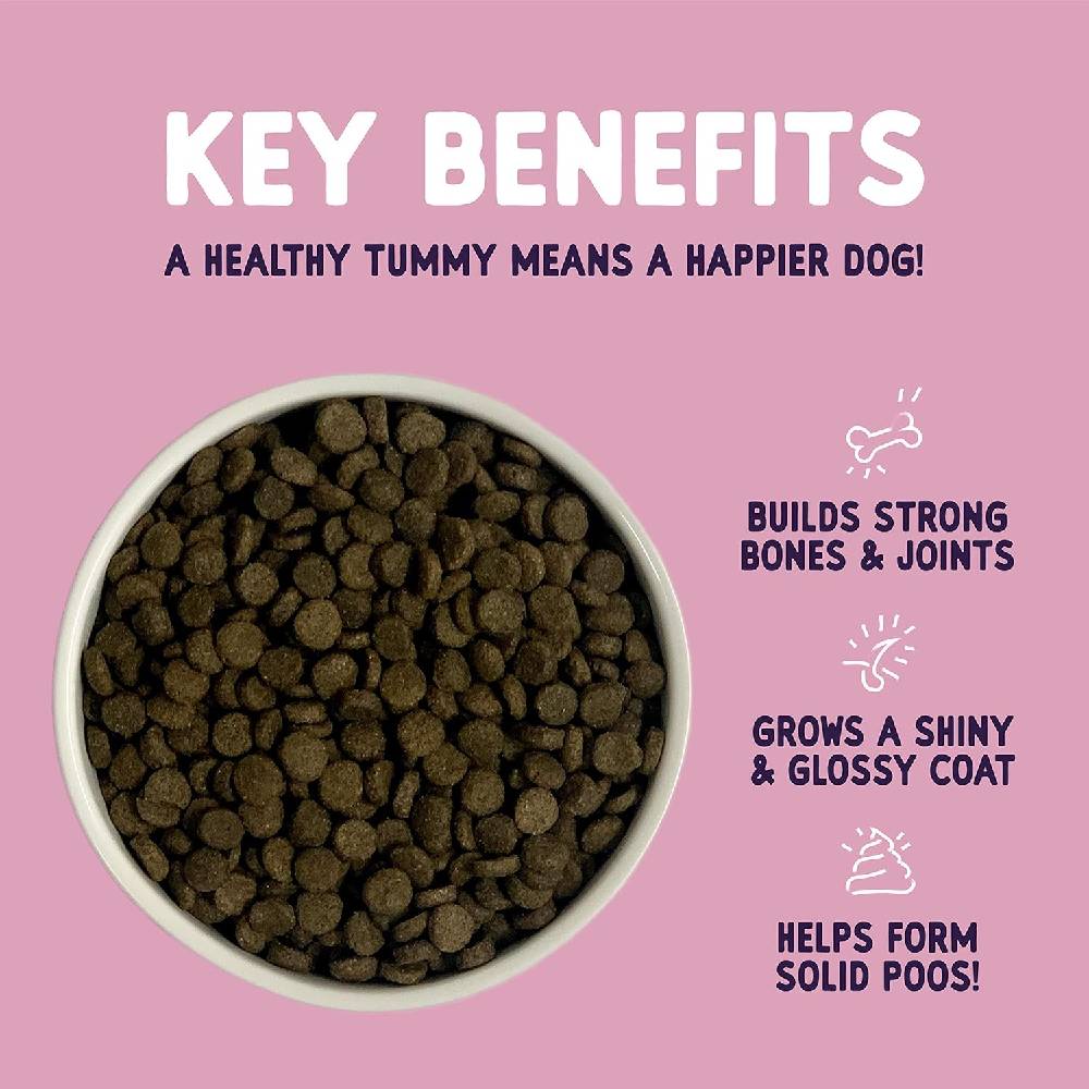 Burgess Sensitive Adult Salmon Dry Dog Food