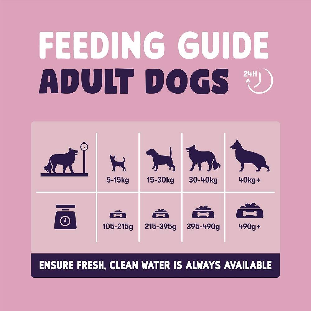 Burgess Sensitive Adult Salmon Dry Dog Food -2 Kg