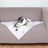 Trixie - Mimi Blanket for Dogs & Cats 70x50cm-Grey