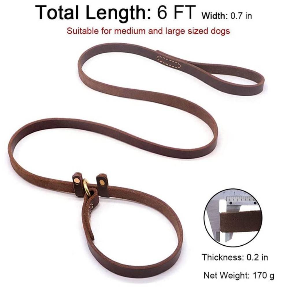 Cozy Paws - Leather Slip Leash