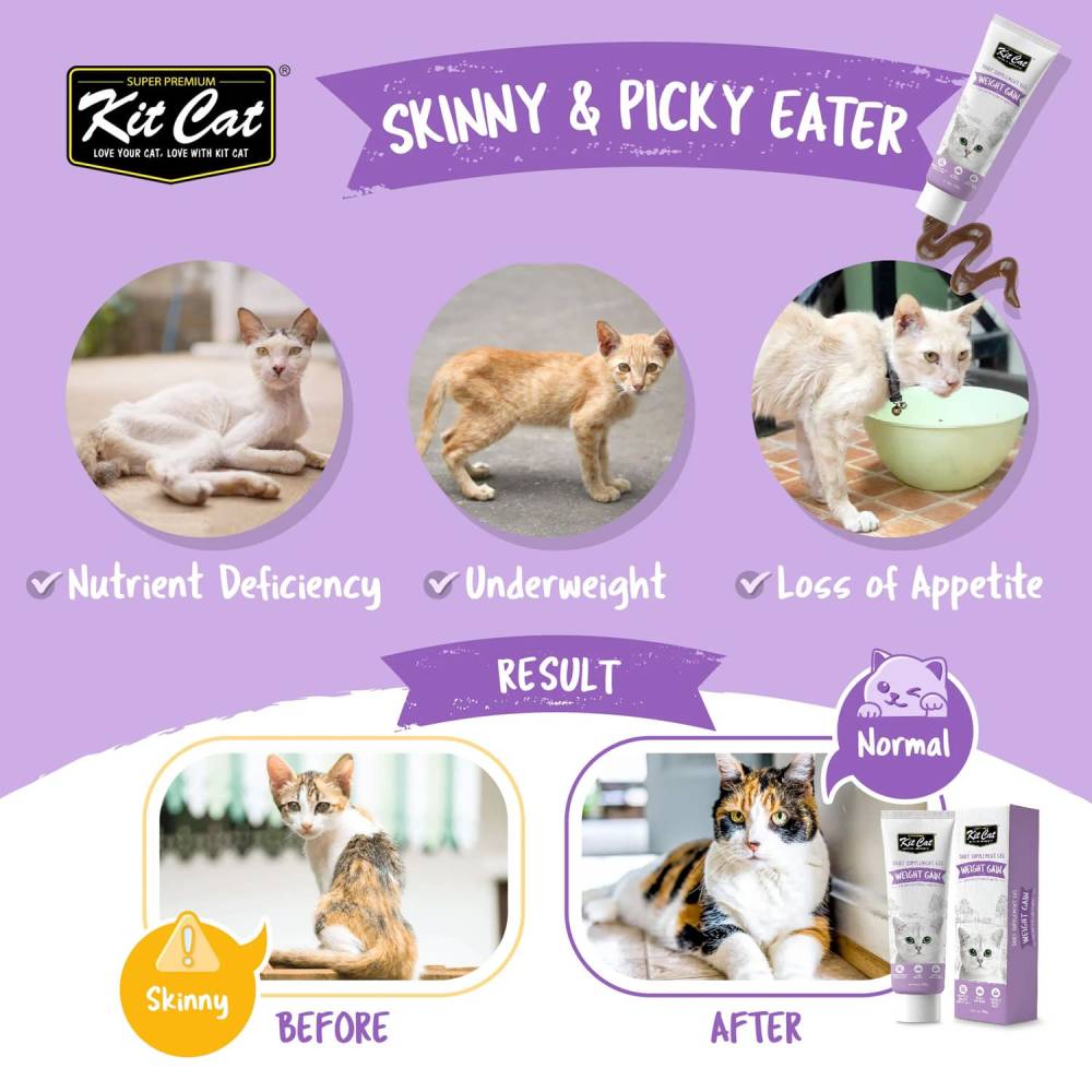 Kit Cat - Daily Nutritional Supplement Gel For Cats & Kittens 120g