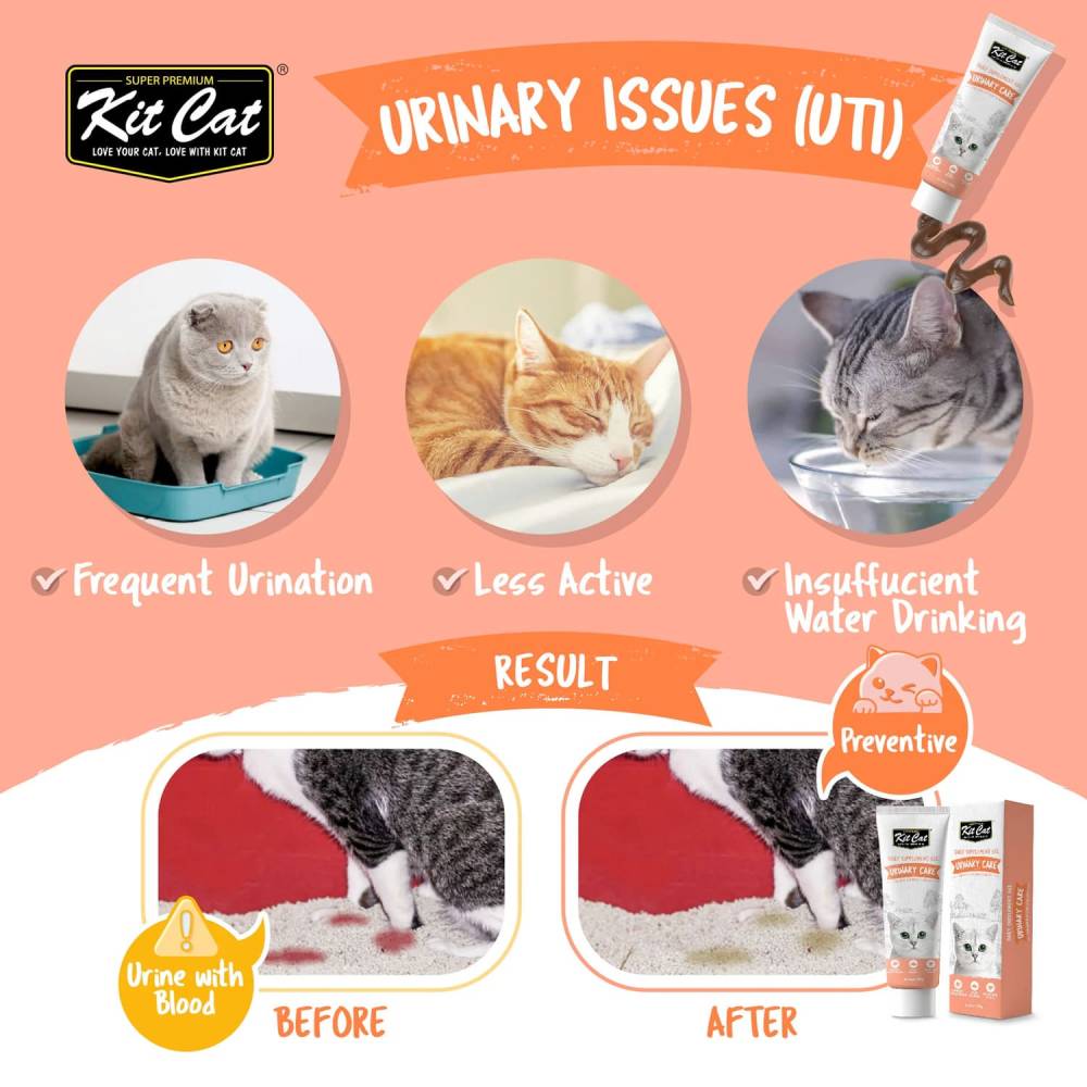 Kit Cat - Daily Nutritional Supplement Gel For Cats & Kittens 120g