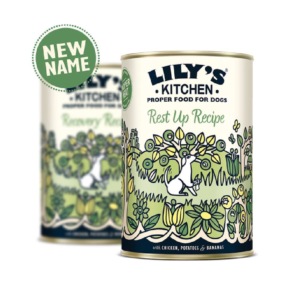 Lily'S Kitchen Recovery Recipe Wet Dog Food (400G)