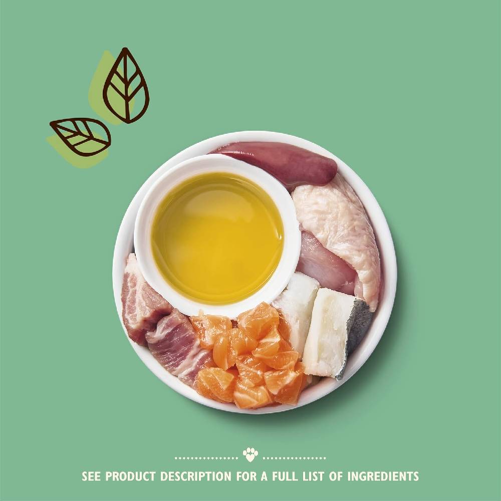 Lily's Kitchen - Chicken Cod & Salmon Paté Kitten Wet Food (85g)