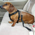 Ferplast - Dog Safety Belt - Black (37-50cm x 25mm)