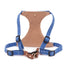 Pawsitiv - Handmade Easy Walk Harness - Blue / Small