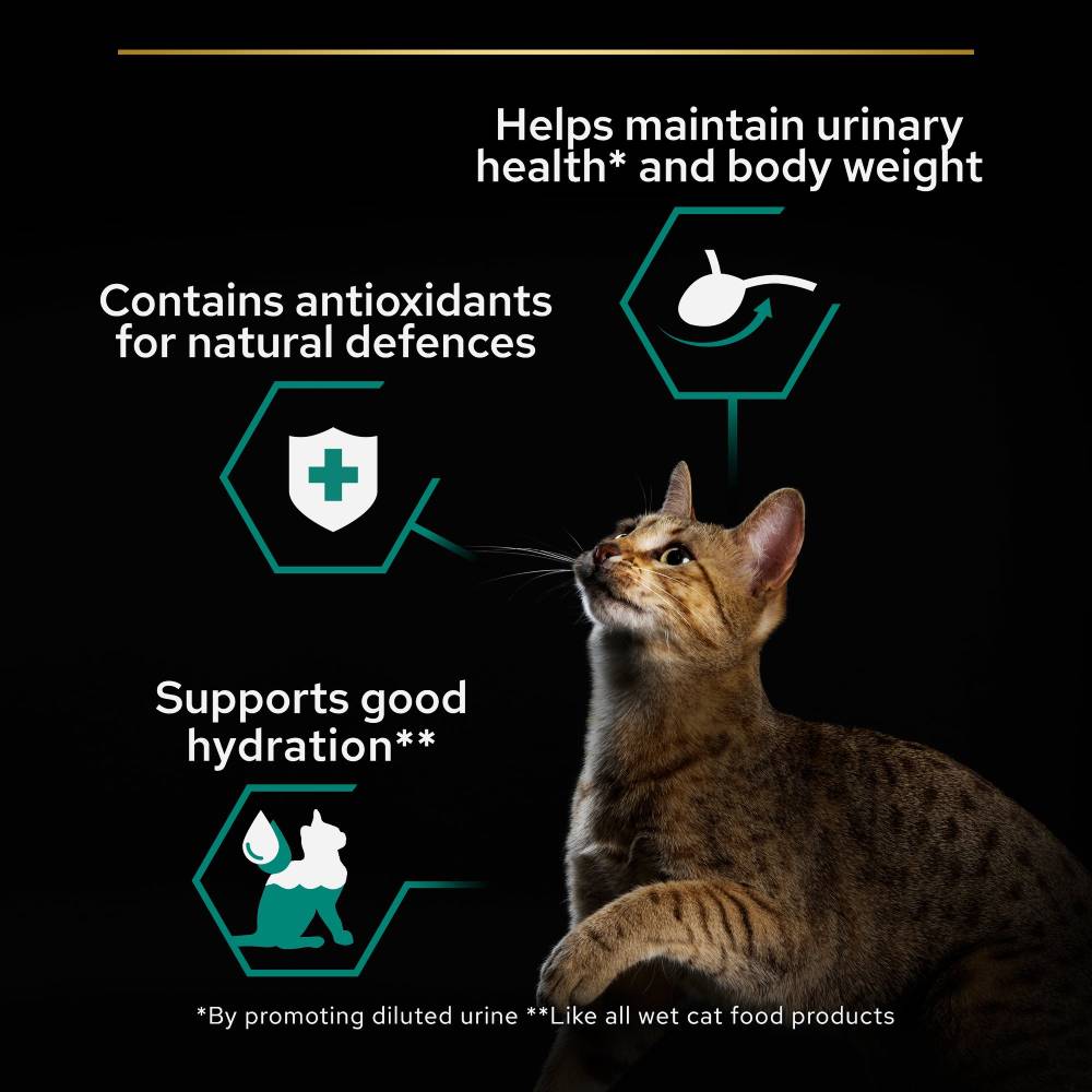 Pro Plan - Sterilised Cat Gig Chicken 85G