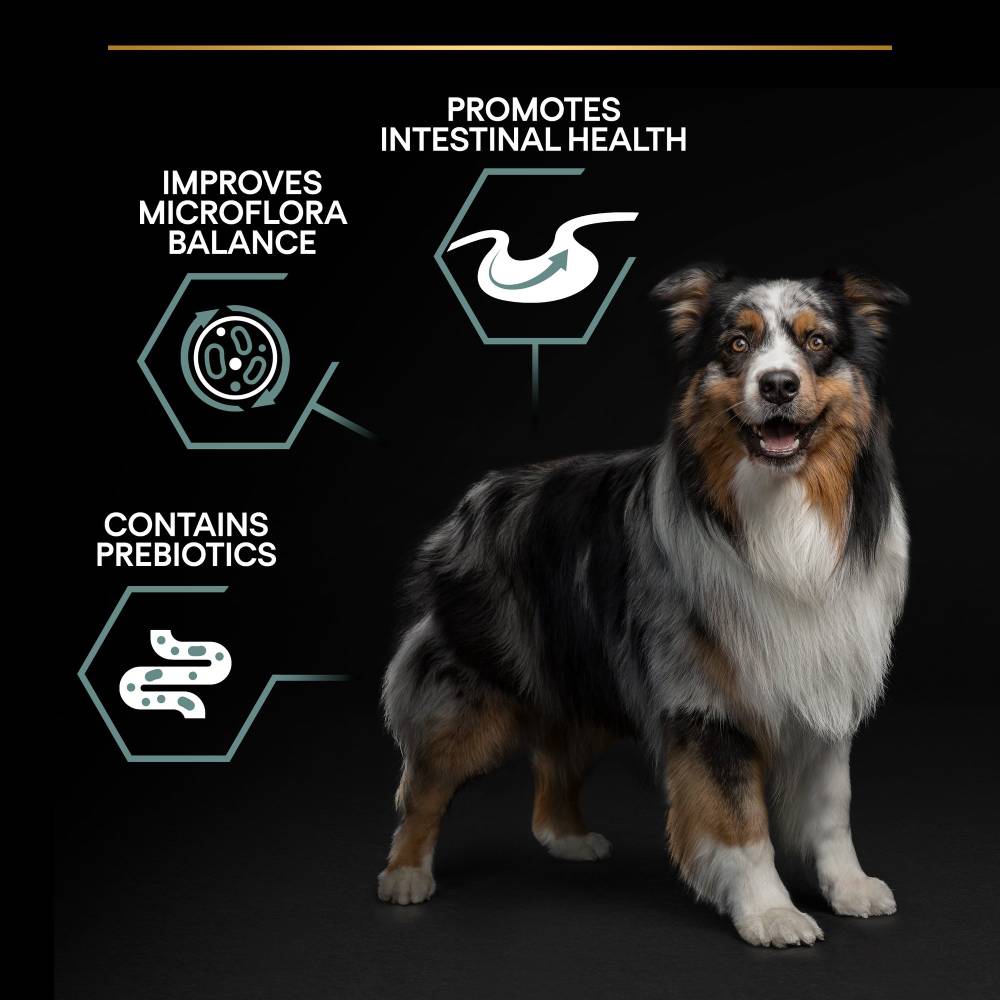 Pro Plan - Medium Adult Sensitive Digestion Dog Lamb 3KG