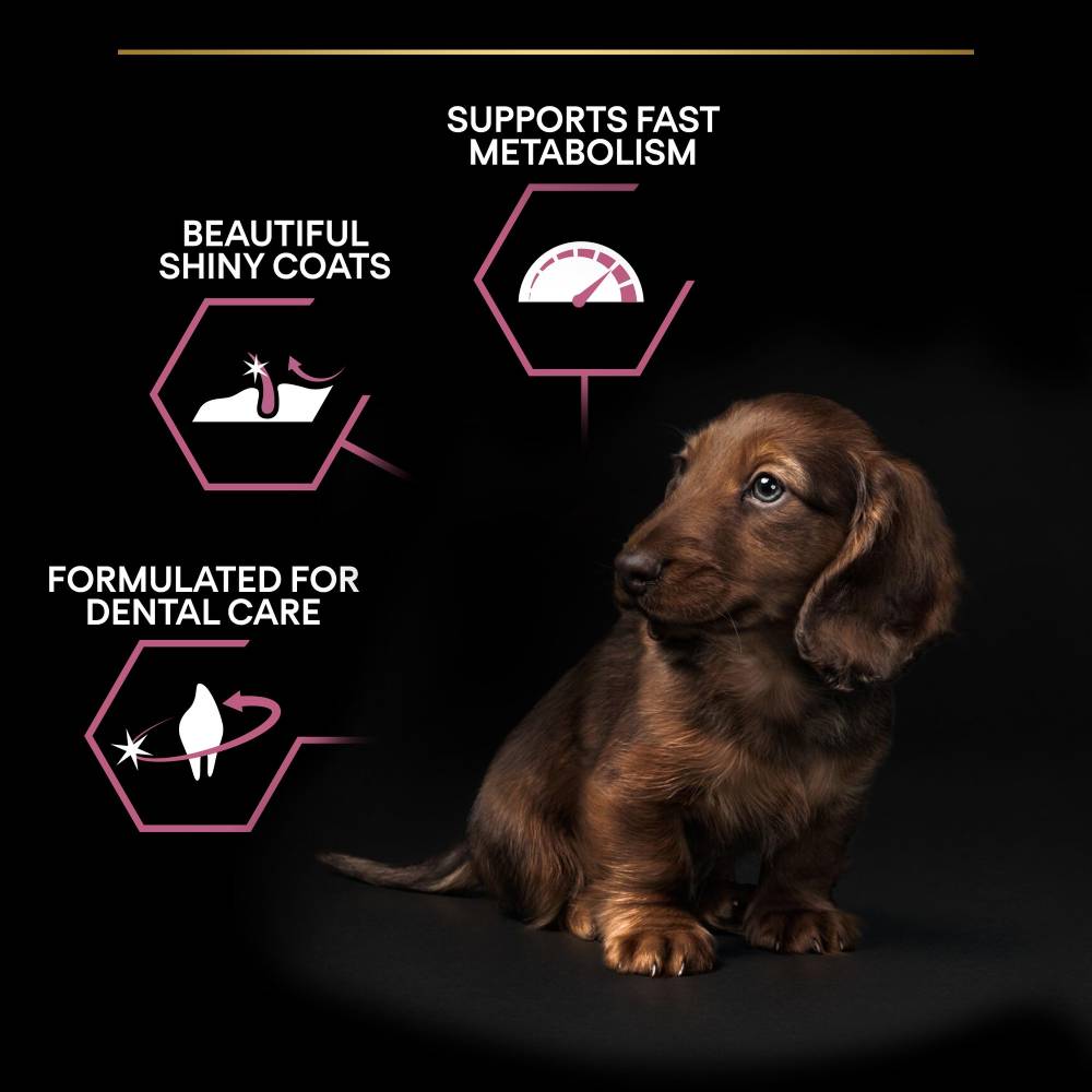 Pro Plan - Small & Mini Puppy Sensitive Skin Salmon 3KG