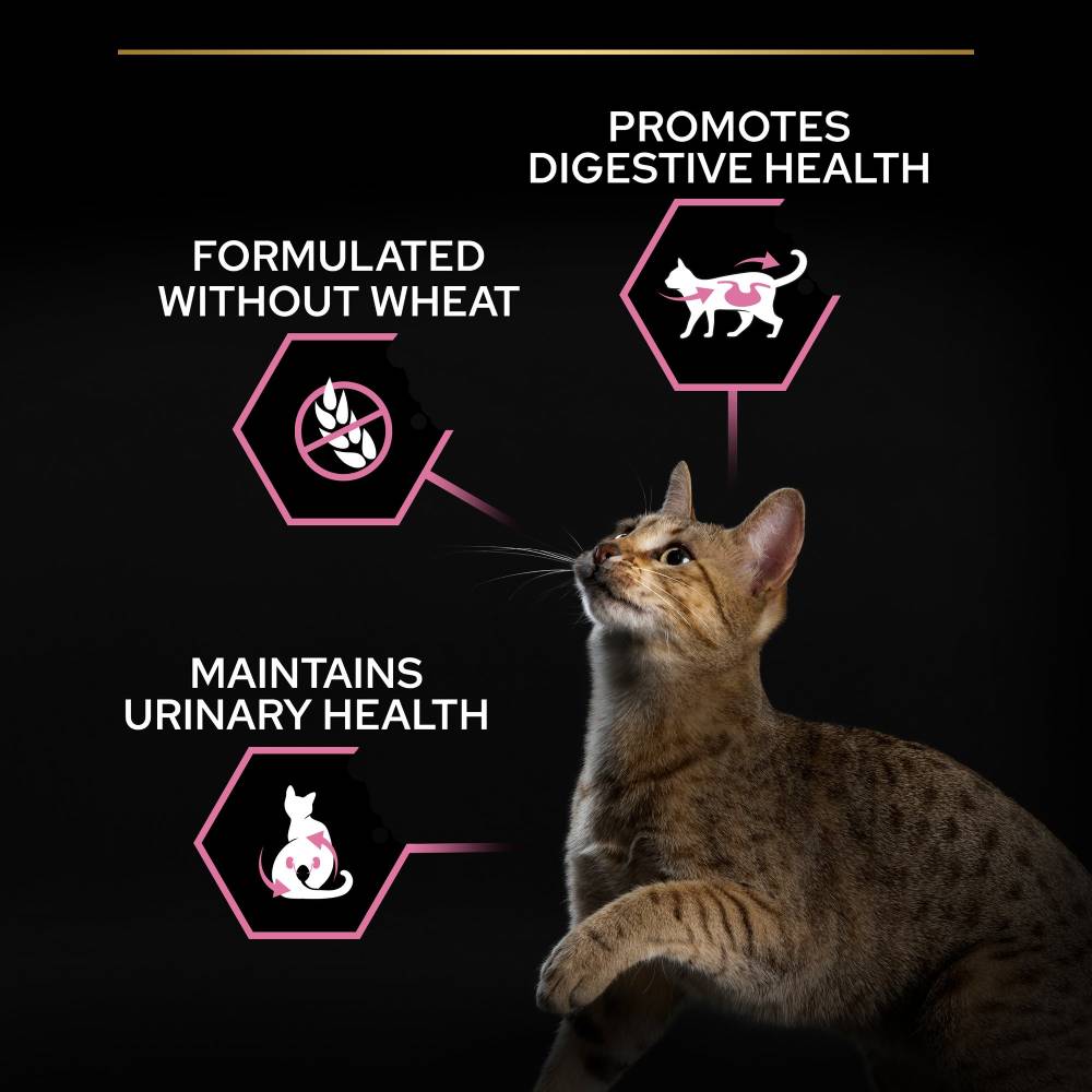 Pro Plan Sterilised Delicate Digestion Cat Chicken 1.5KG