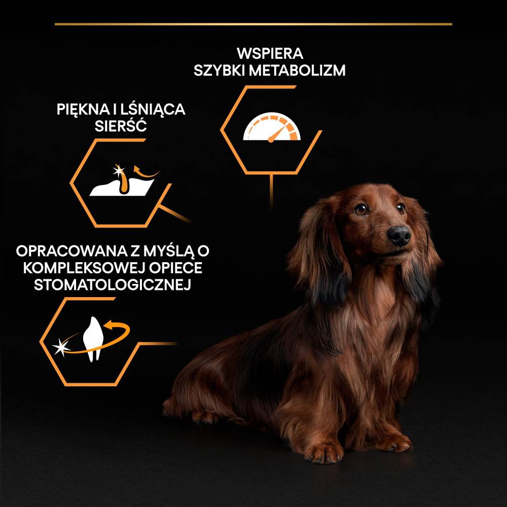 Pro Plan - Small & Mini Adult Dog Chicken 3KG