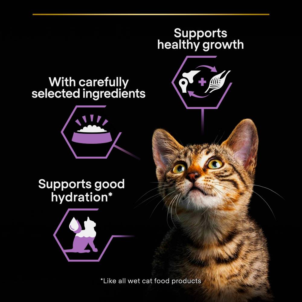 Pro Plan - Kitten Healthy Start, Wet Cat Food, Mousse Rich In Chicken, 85G