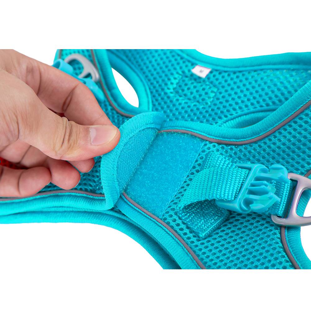 Freedog - Soft and Durable Harness for Dogs - Turquoise