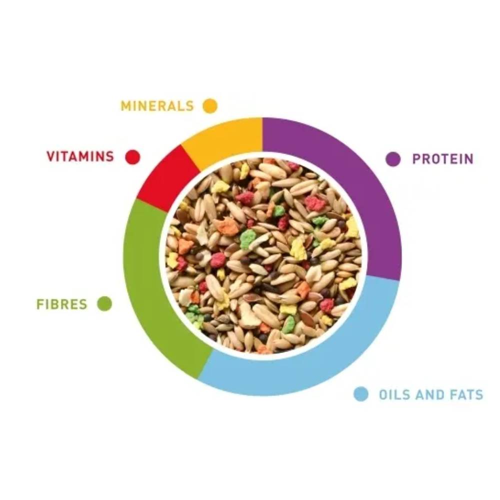Padovan - Grandmix Canarini 1kg