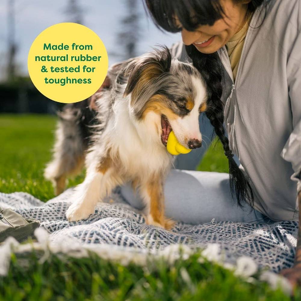 Earth Rated - Fetch Toy