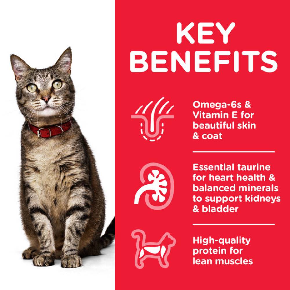Hill's - Science Plan Adult Optimal Care Chicken Dry Cat 1.5kg