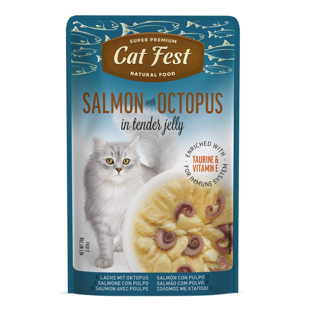 Cat Fest  - Tender Jelly For Cats 70g