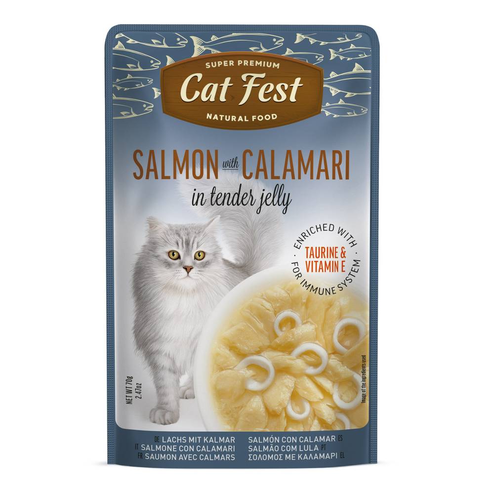Cat Fest  - Tender Jelly For Cats 70g