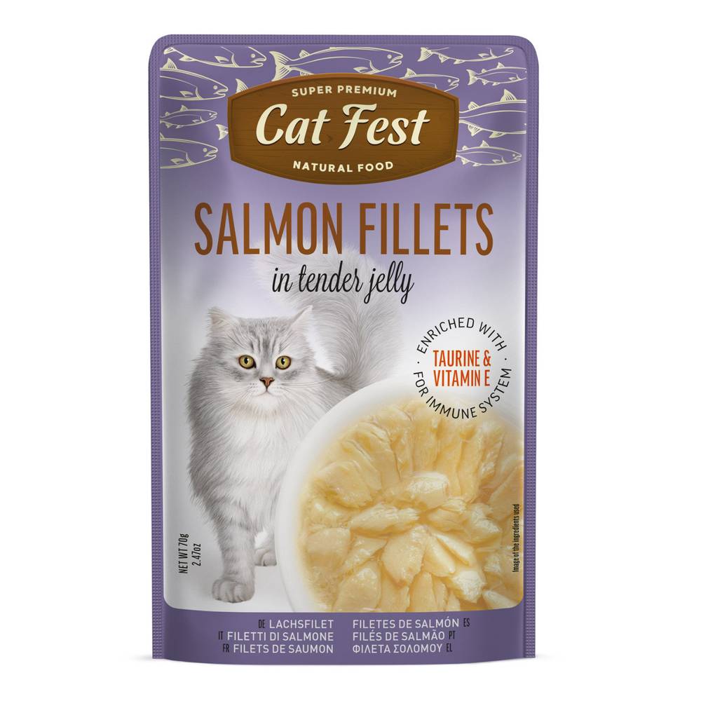 Cat Fest  - Tender Jelly For Cats 70g
