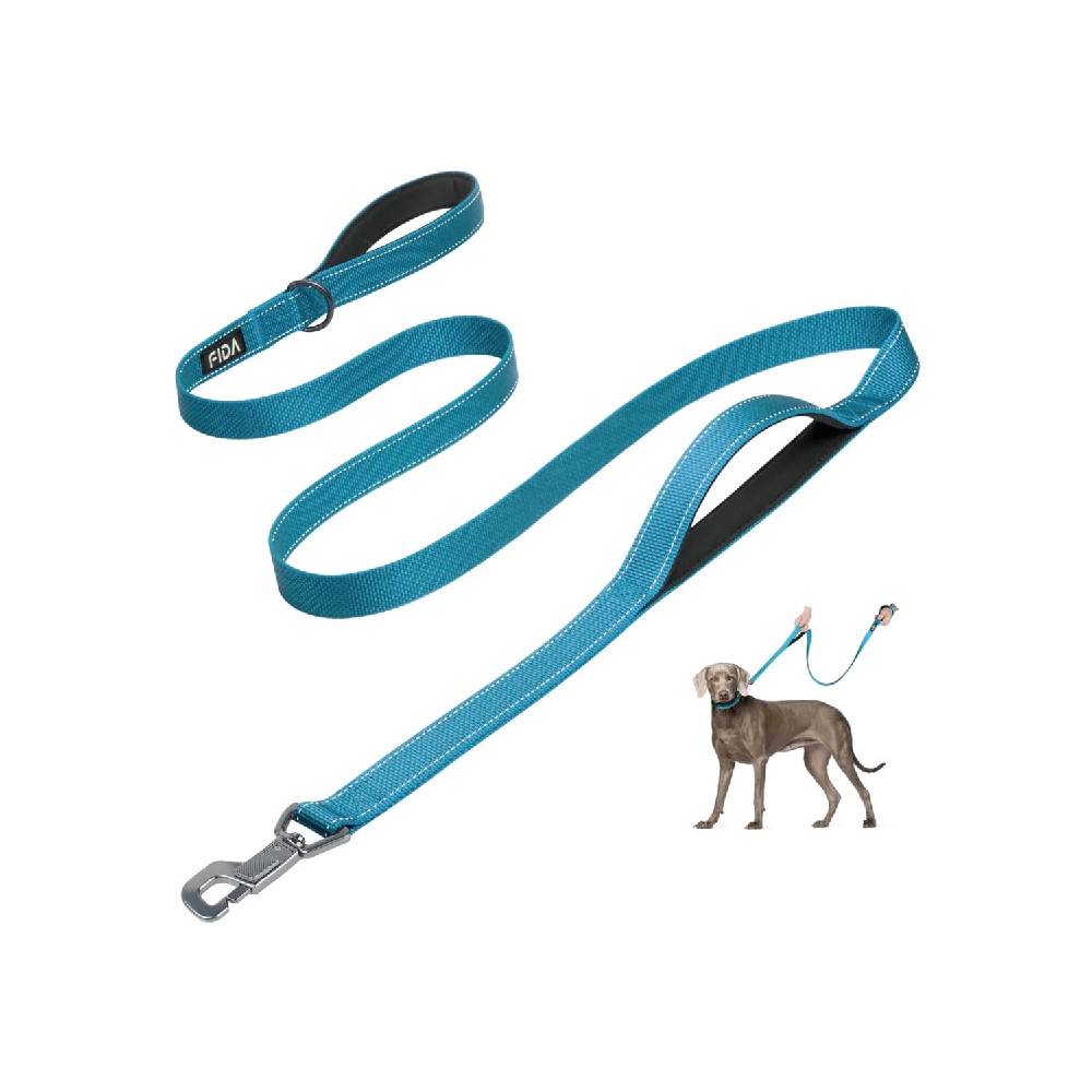 Fida Heavy Duty Dog Leash - Blue