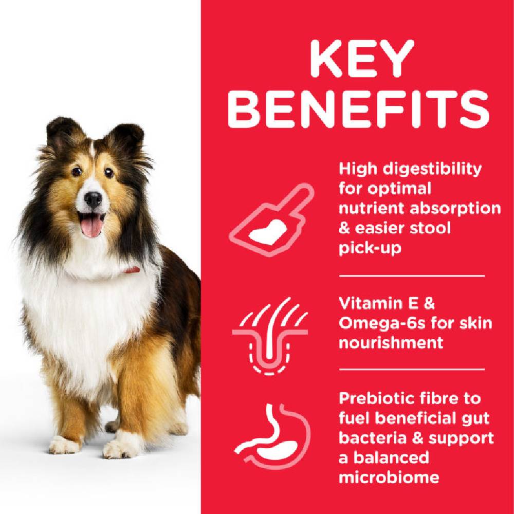 Hill’s - Science Plan Sensitive Stomach & Skin Medium Adult Dog Food With Chicken 14KG