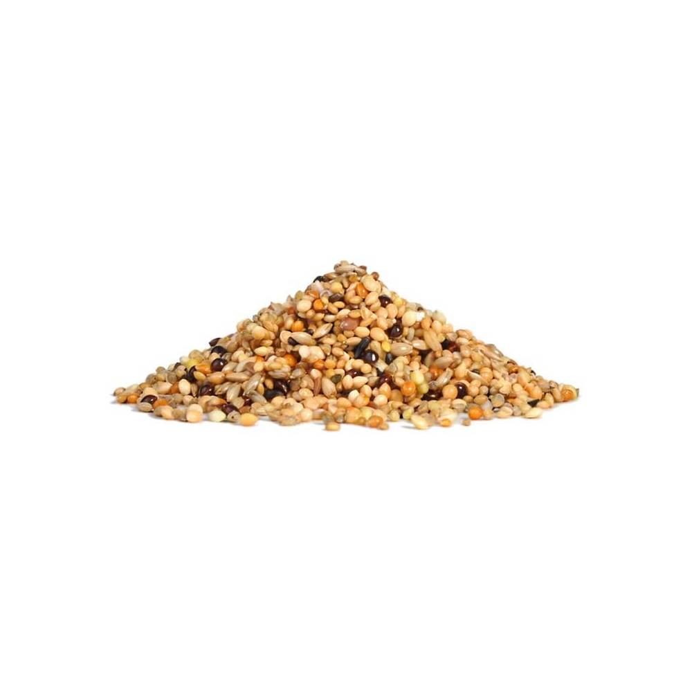 RIO - Daily Food For Exotic Birds