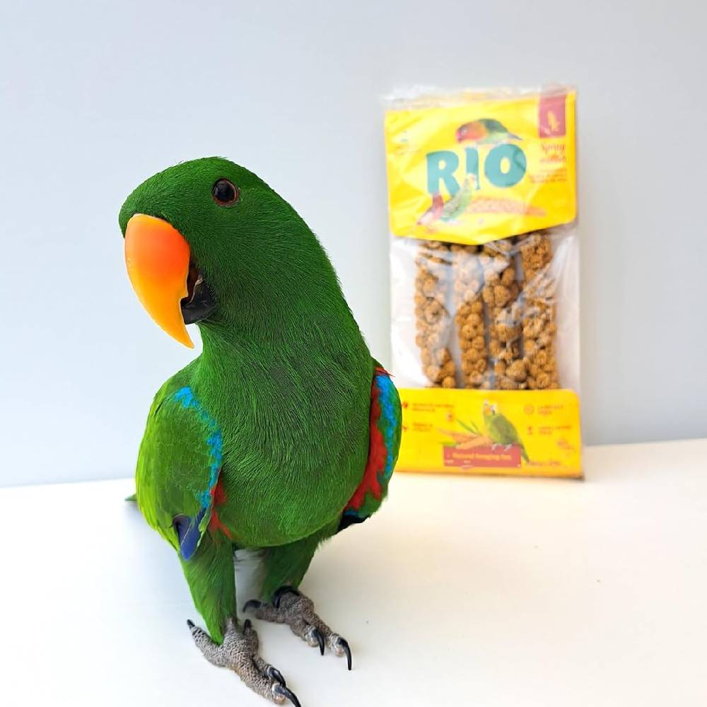 RIO - Spray Millet Natural Treat For All Birds 100G