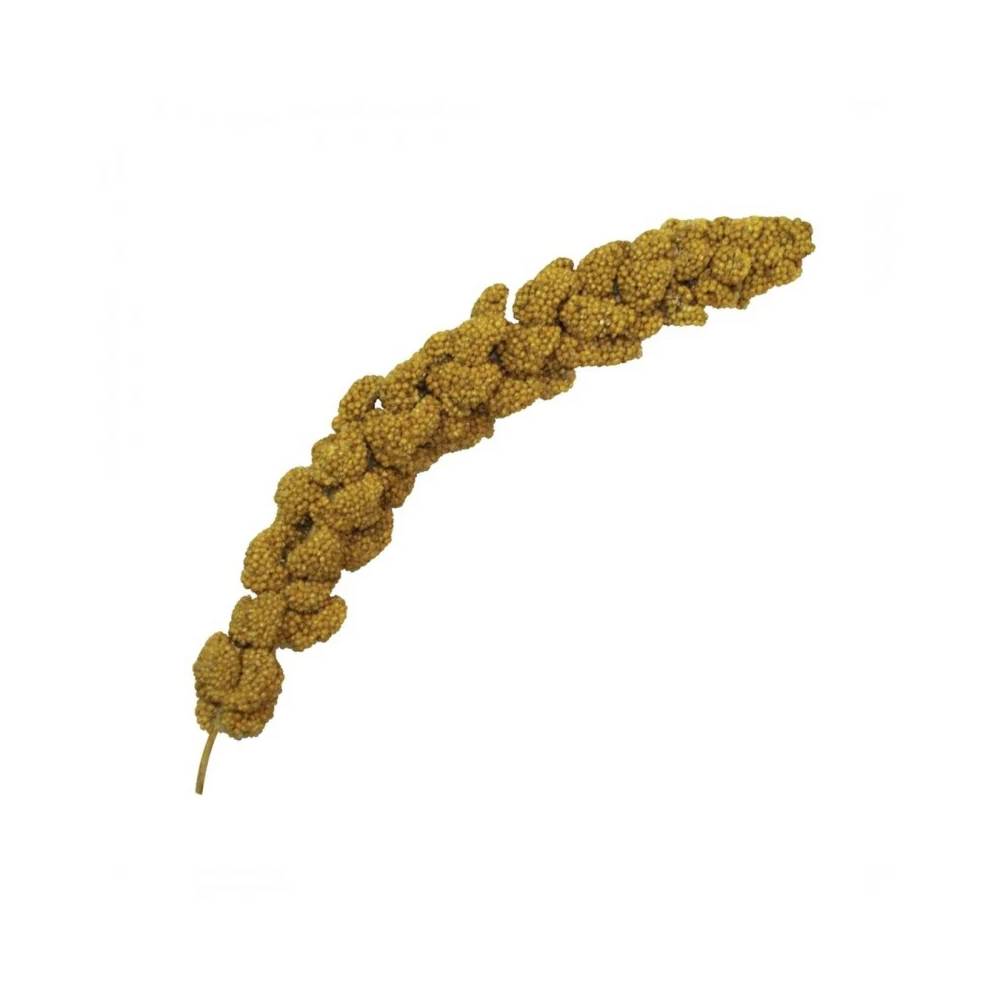 RIO - Spray Millet Natural Treat For All Birds 100G
