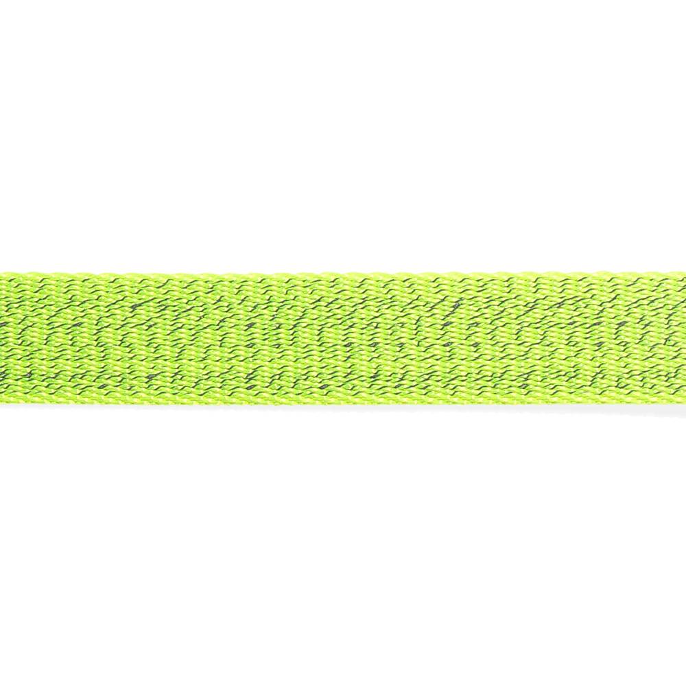 Zee.Dog Nox Lumen Collar