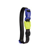 Zee.Dog Nox Collar