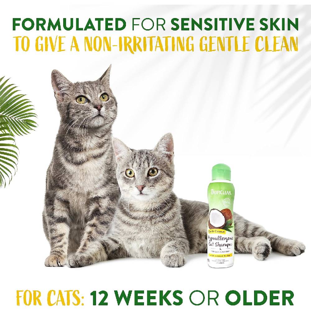TropiClean - Gentle Coconut Hypoallergenic Cat and Kitten Shampoo, 12oz