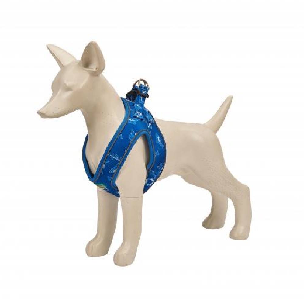 Freedog - Blue Shark Designer Harness for Dogs