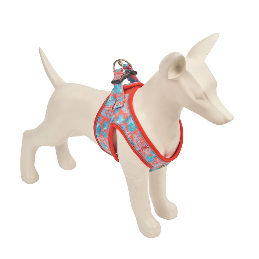 Freedog Tropical Coral Designer Harness for Dogs - Small