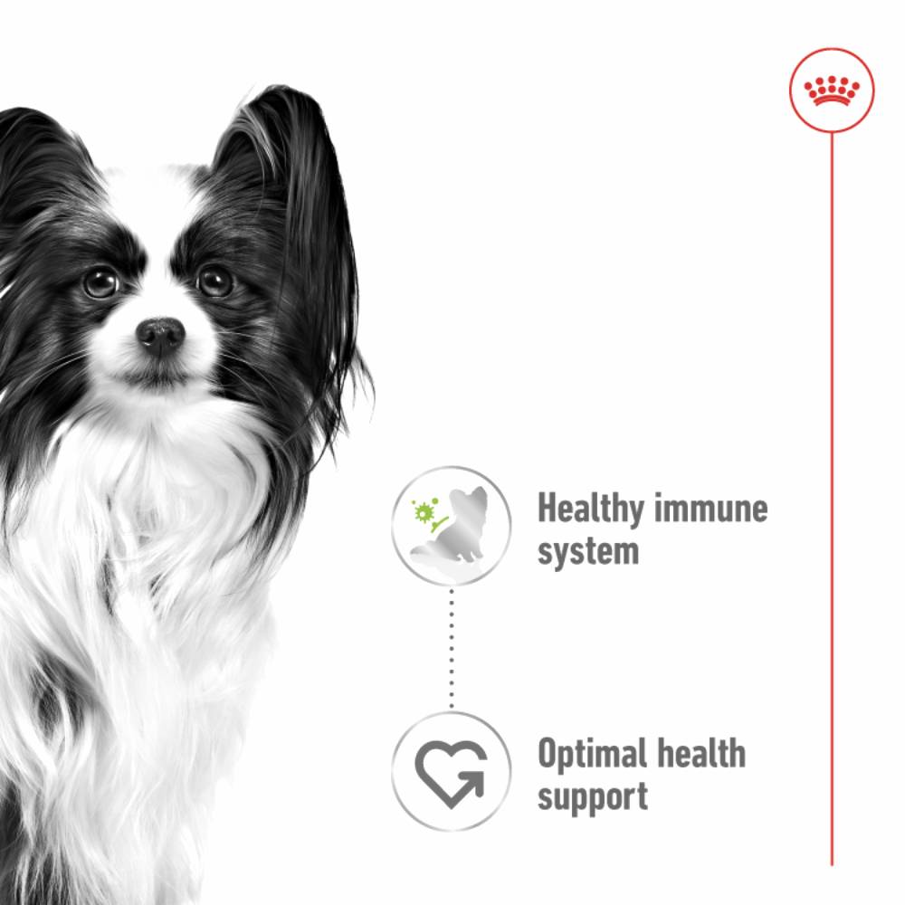 Royal Canin - Size Health Nutrition XS Adult (Wet Food - Pouches)