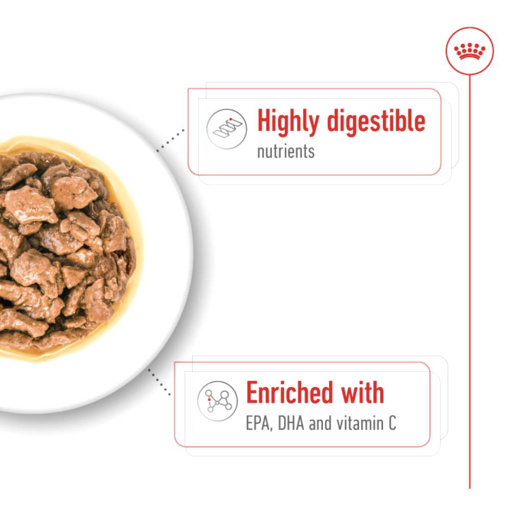 Royal Canin - Size Health Nutrition XS Adult (Wet Food - Pouches)
