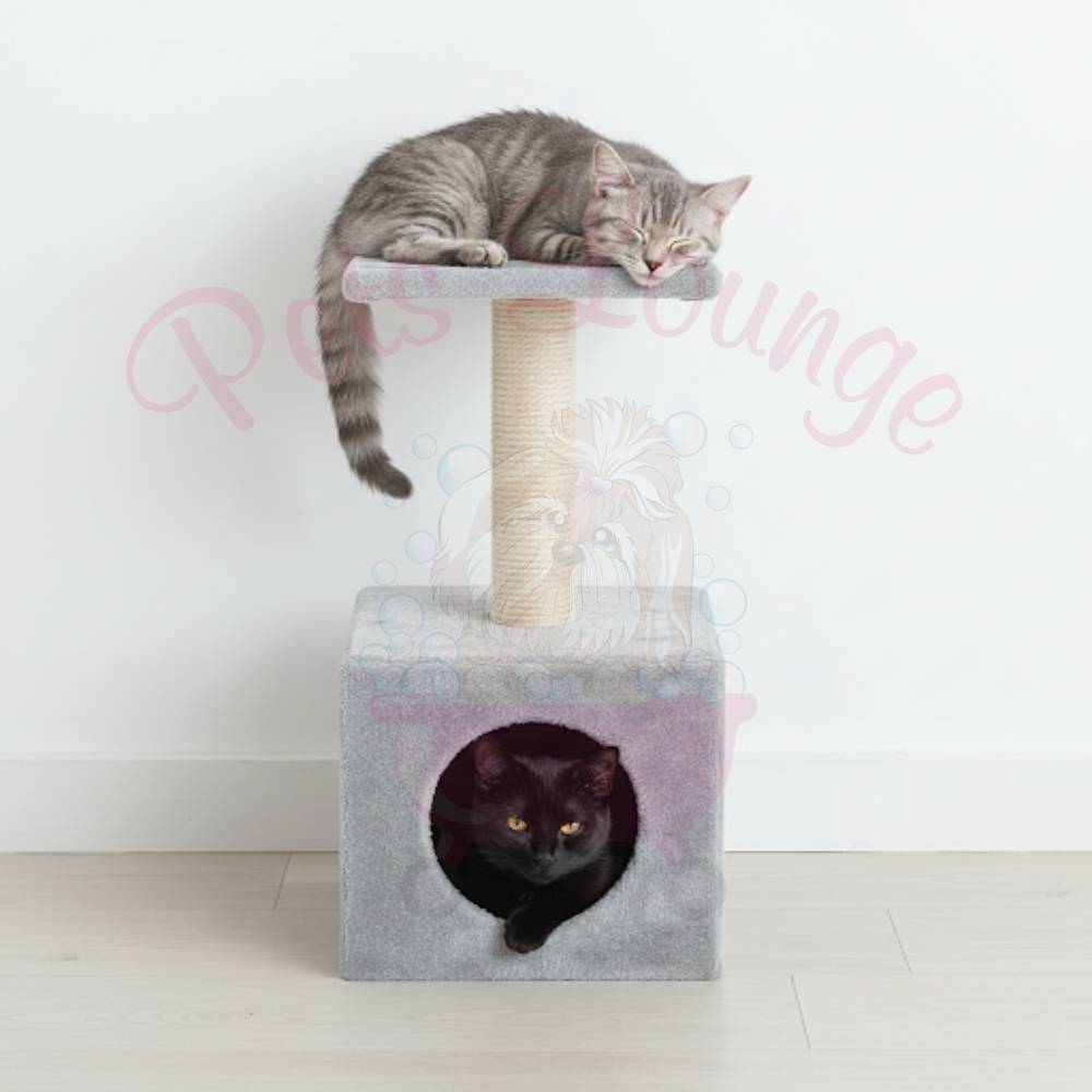 Ebi - Classic Cat Tree Abey - 60cm