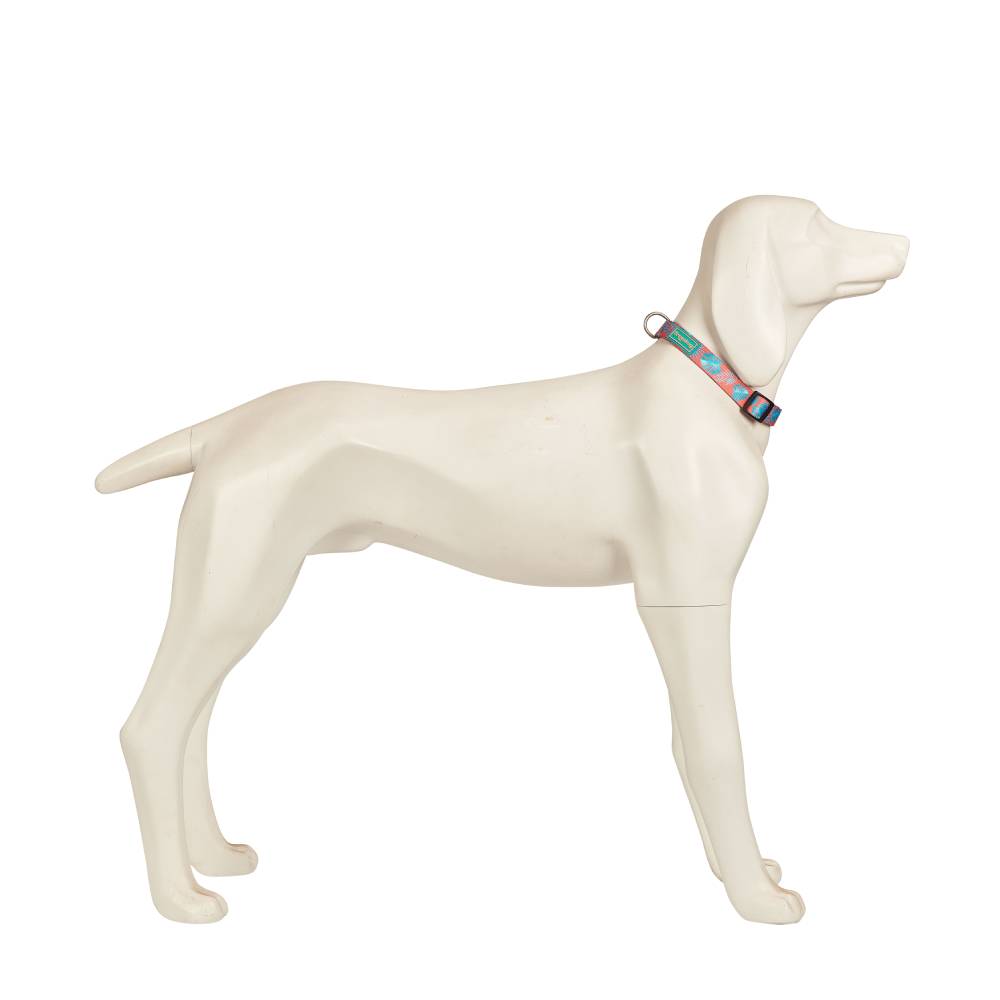 Freedog - Tropical Coral Designer Collar for Dogs - Small