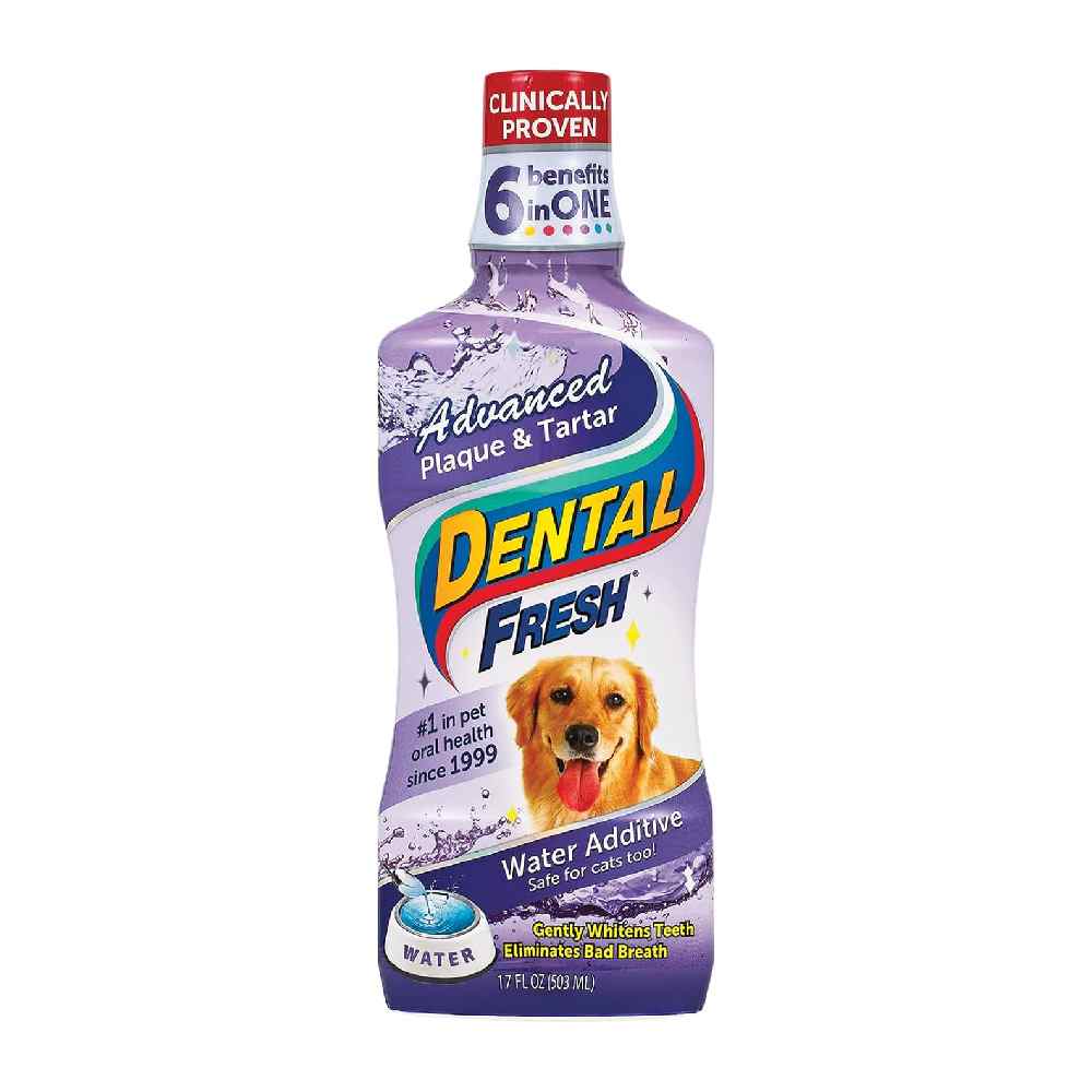 Synergy Labs - Dental Fresh Plaque & Tartar-Dog - 503 Ml