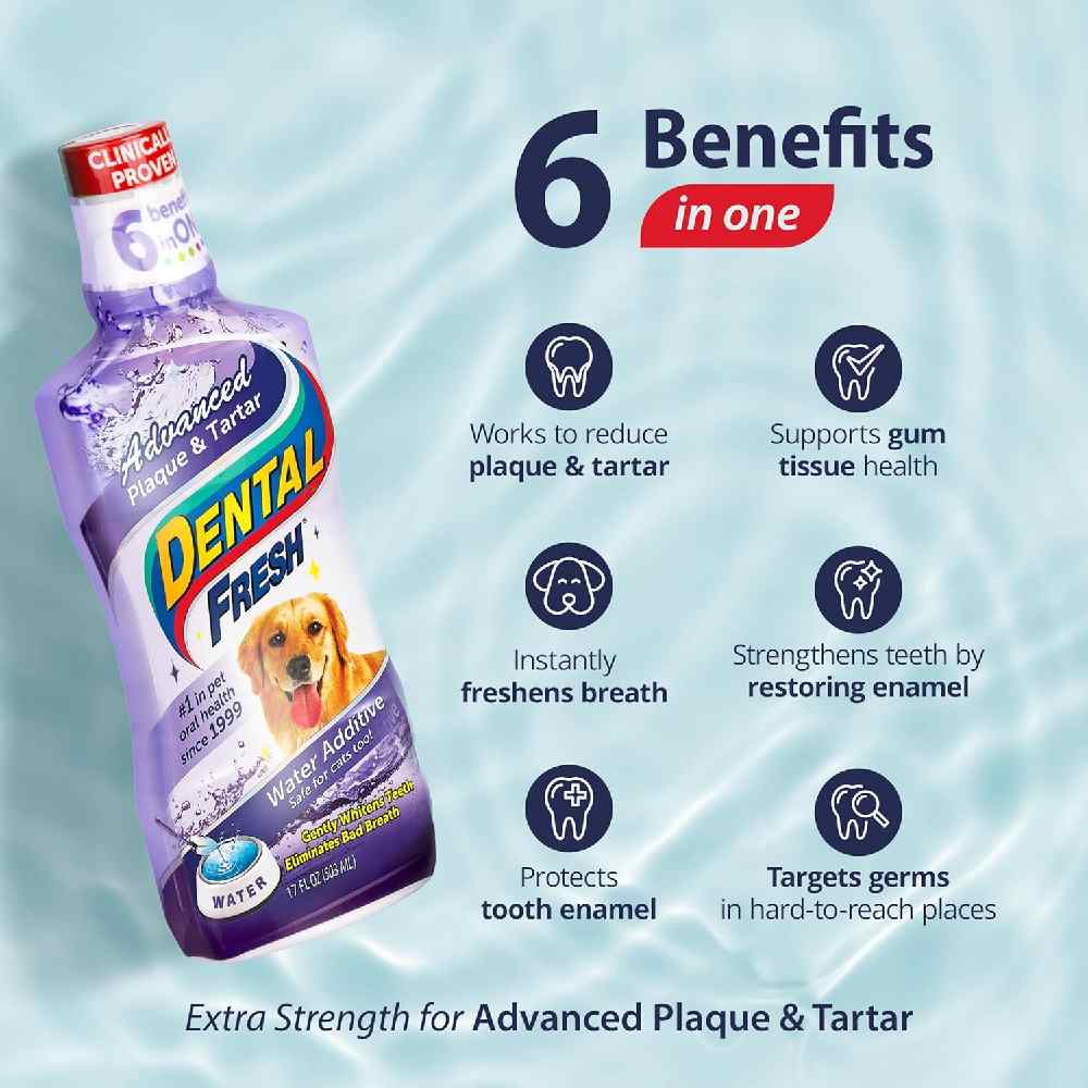 Synergy Labs - Dental Fresh Plaque & Tartar-Dog - 503 Ml