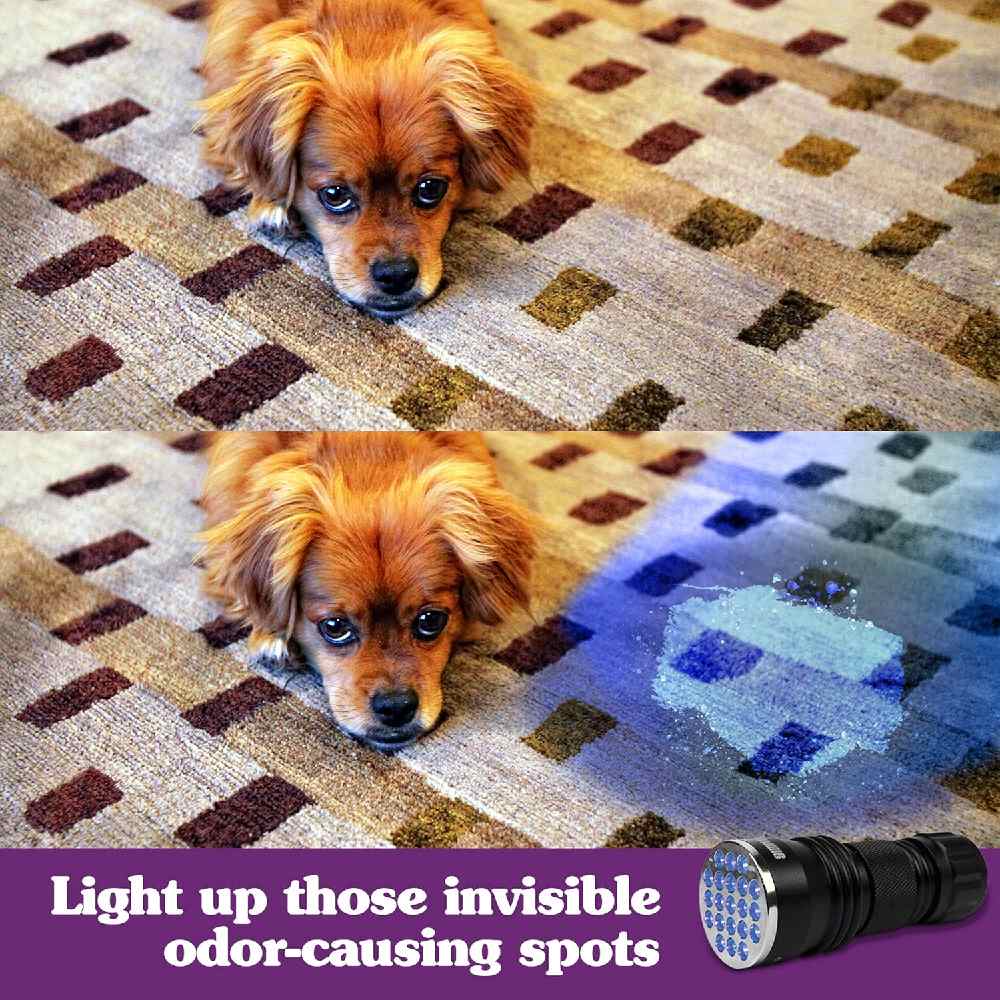 Simple Solution - Spot Spotter HD UV Pet Urine Detector