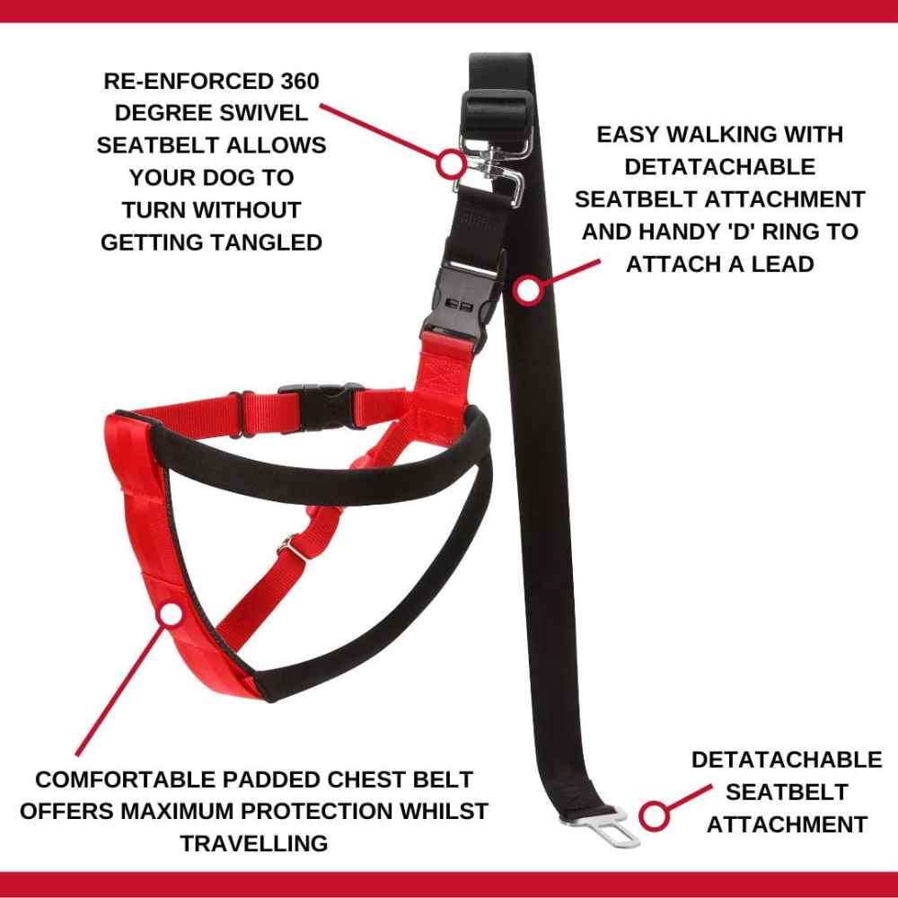 Mikki - Car Harness Dog