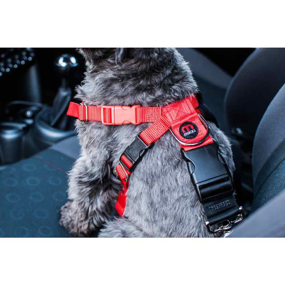 Mikki - Car Harness Dog