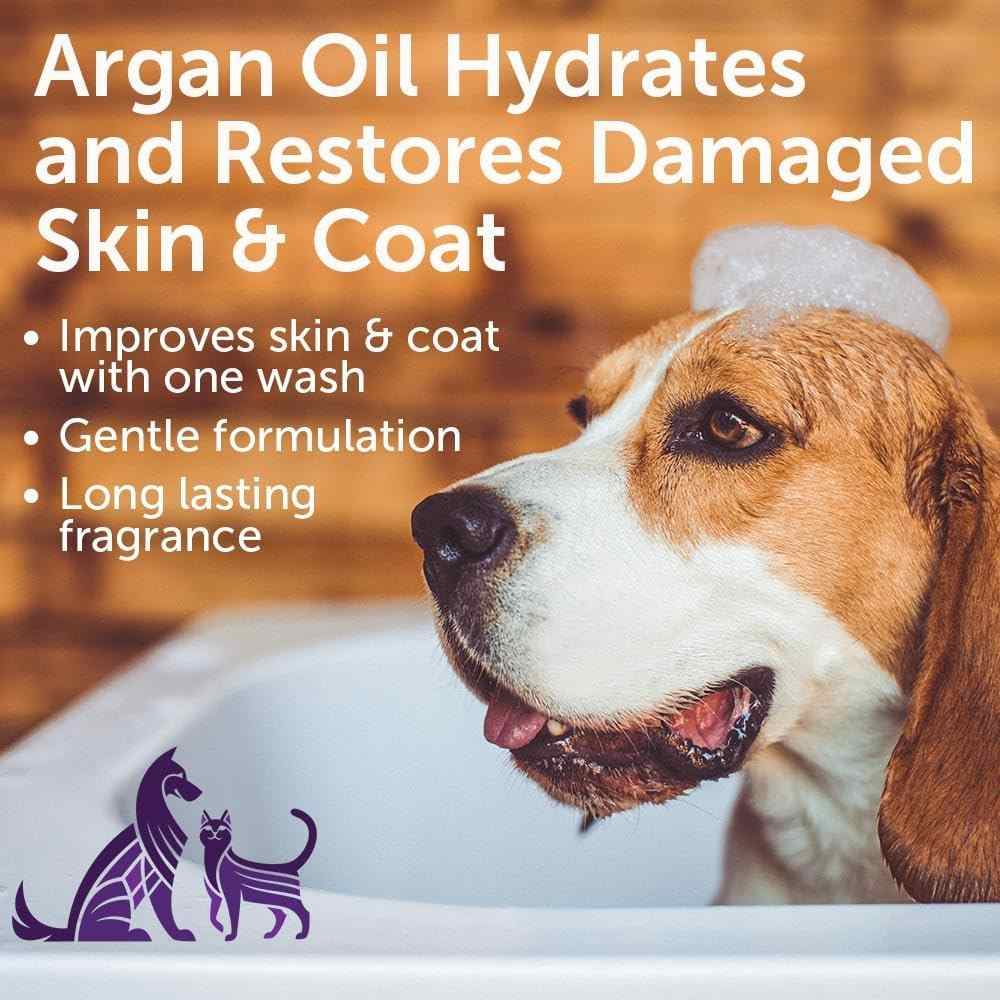 Nootie Restoring Argan Oil Shampoo - Soft Lilly Passion 16Oz