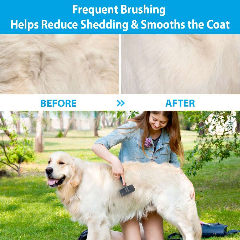 Gigwi - Slicker Brush for Dogs and Cats