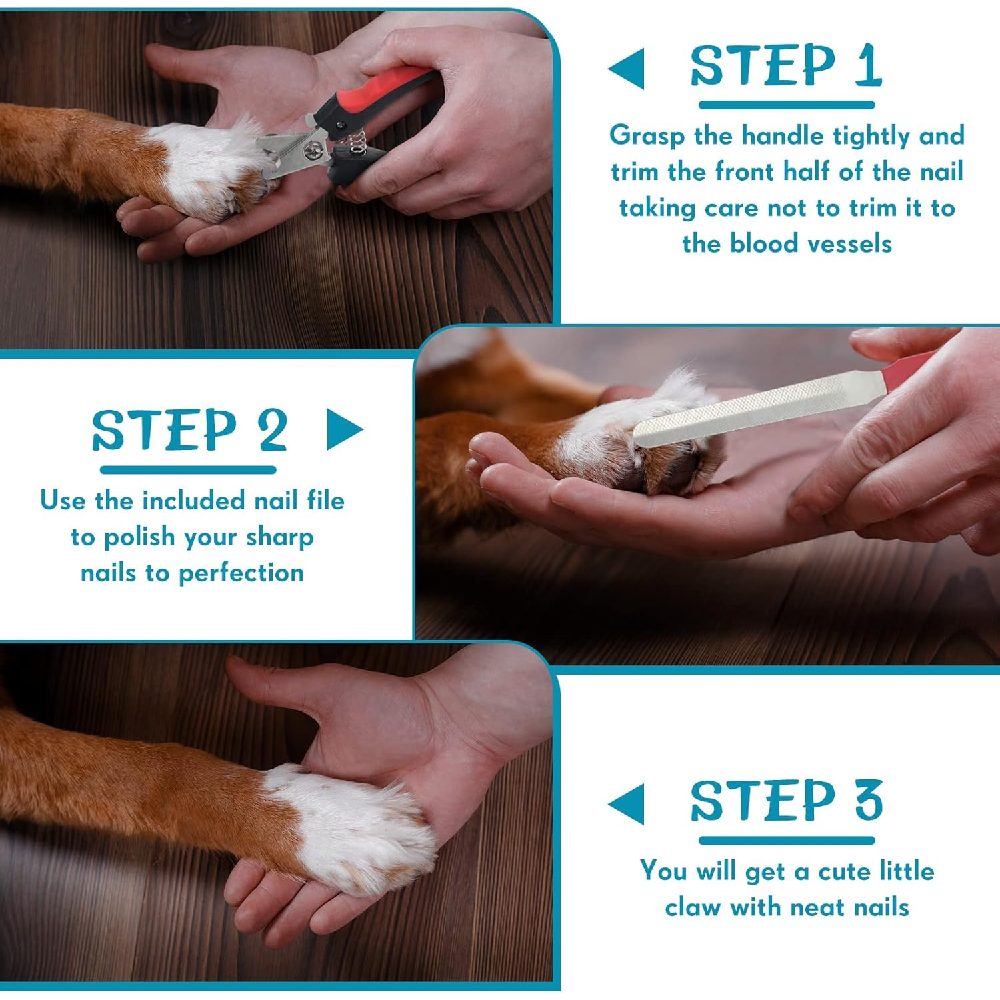 ForPet - Nail Clipper Set With Nail File