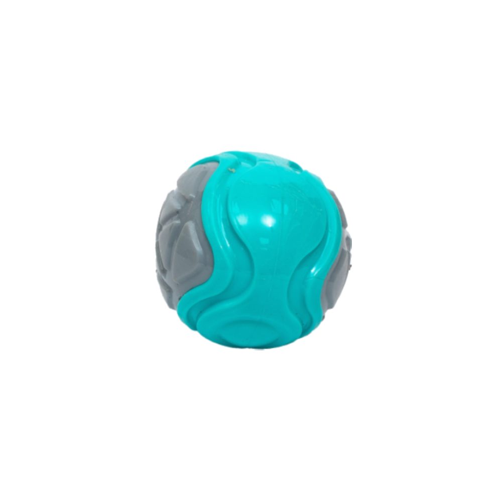 PL - Squeaky Multicolor Ball Toy