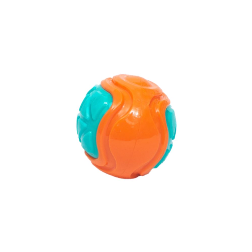 PL - Squeaky Multicolor Ball Toy