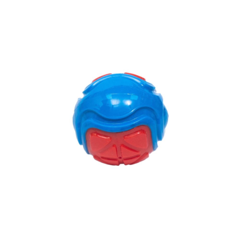 PL - Squeaky Multicolor Ball Toy