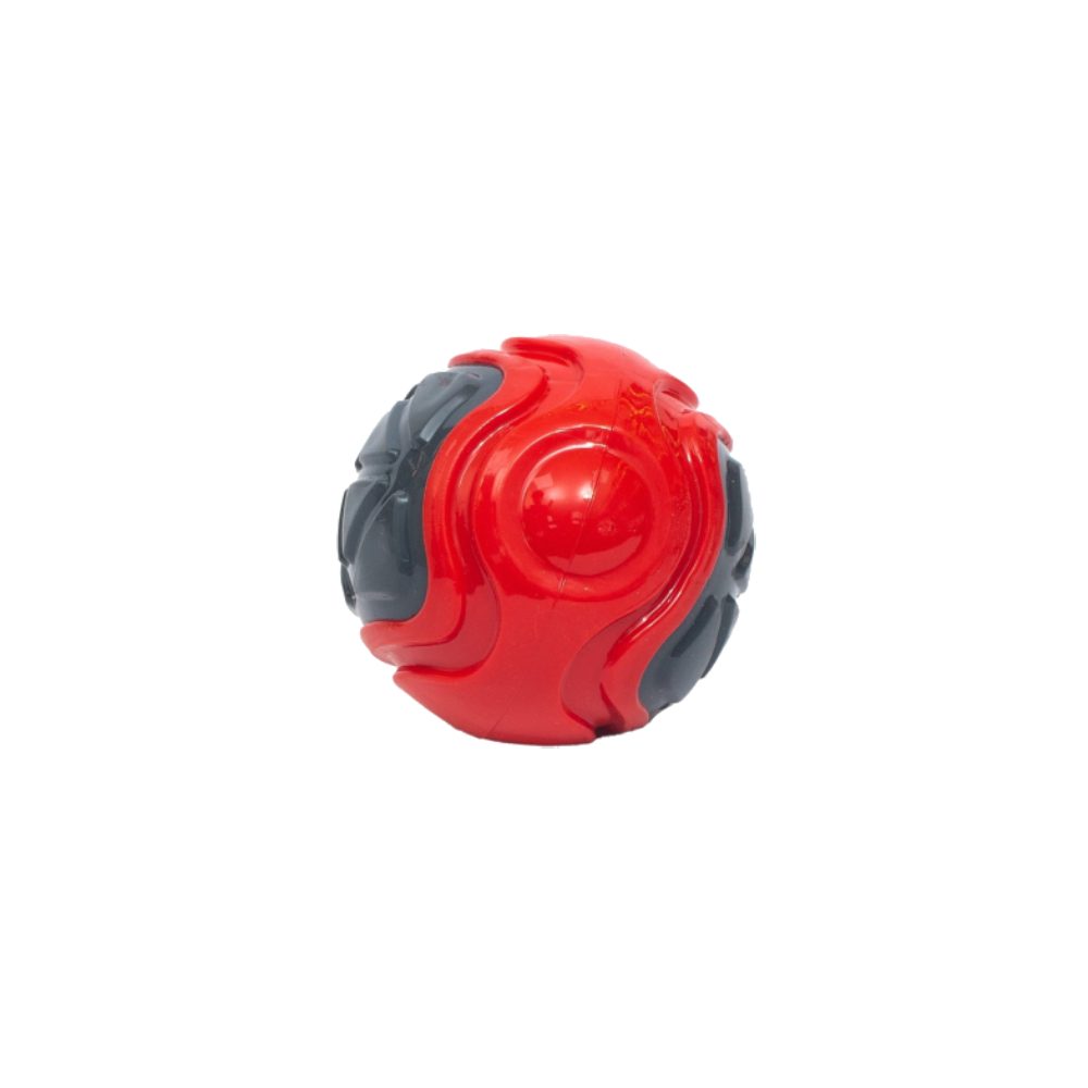 PL - Squeaky Multicolor Ball Toy